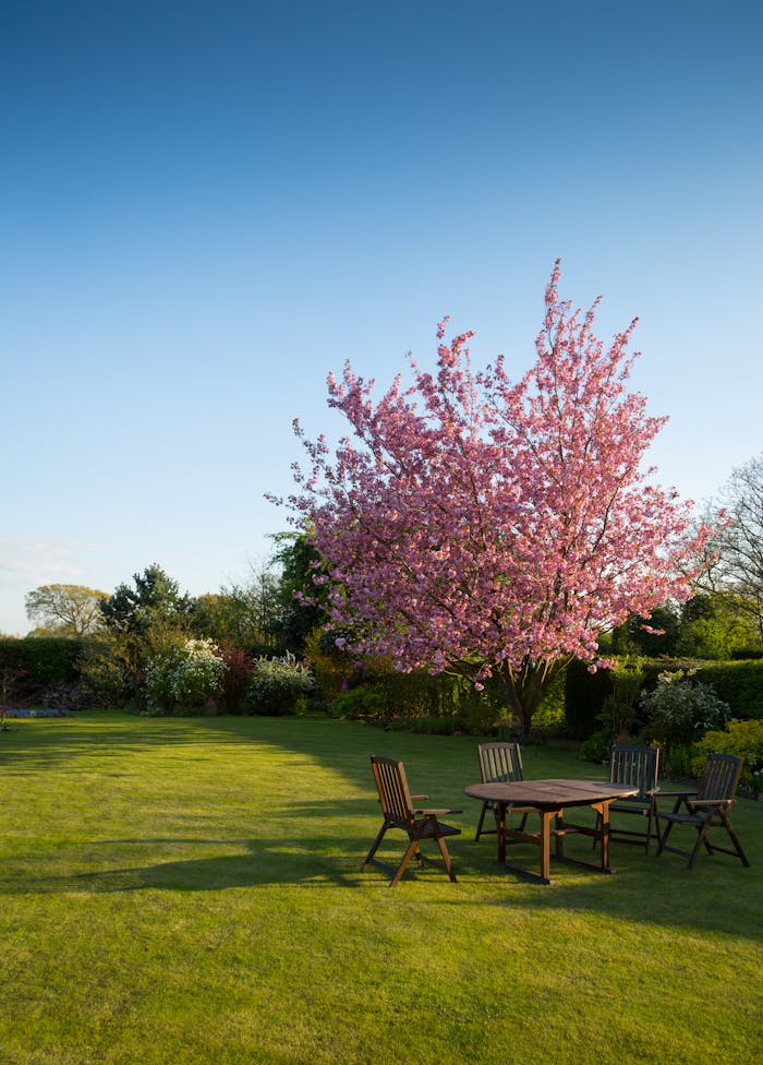 Weitläufiger, gepflegter Garten mit Kirschbaum
