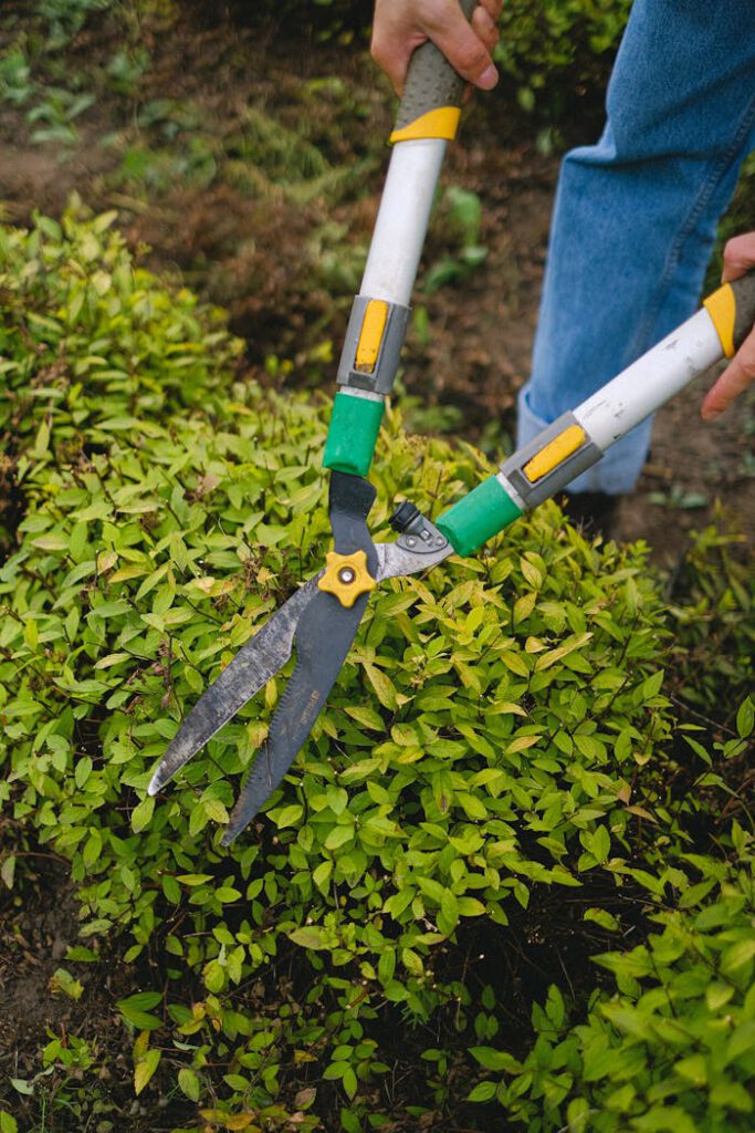 Mitarbeiter von ZAKO Gartenservice schneidet eine Hecke in Form